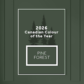   Dulux 2026 paint colour trends 